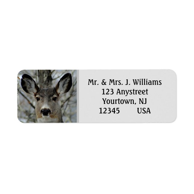 Winter Mule Deer Close-up Label (Front)