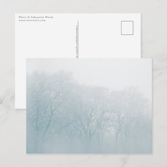 Winter Nature Photo Postcard (Front/Back)