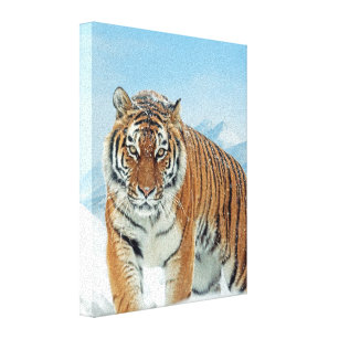 Winter Nature Photo Tiger Snow Mountains Canvas Print