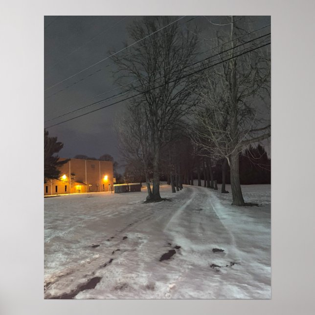 Winter Night Photo Poster (Front)