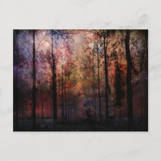 Winter Night Postcard