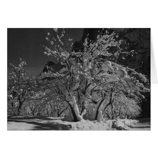 Winter Night Time Cards (Front Horizontal)