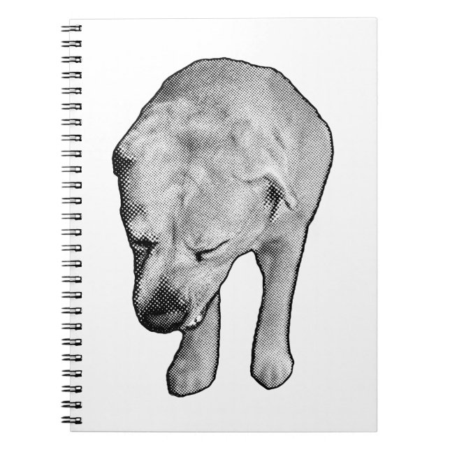 Winter Notes with Speckled Lab Muse Notebook (Front)