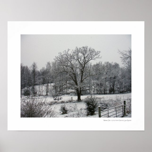 Winter Oak Poster (Front)