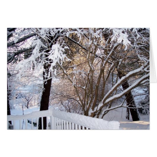 Winter on the Front Porch (Front Horizontal)