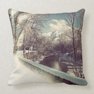 Winter on the Ogden Throw Pillow