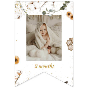 Winter Onderland Birthday Monthly Photo Bunting Flags