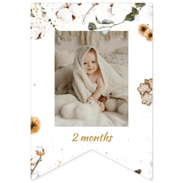 Winter Onderland Birthday Monthly Photo  Bunting Flags (Third Flag)