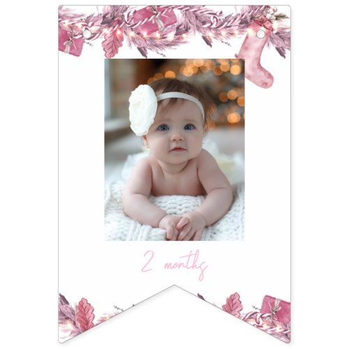 Winter Onderland Birthday Monthly Photo Girl Bunting Flags