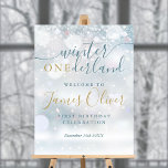Winter Onederland 1st Birthday Blue Gold Welcome Foam Board<br><div class="desc">A cute 1st birthday winter ONEderland welcome sign featuring elegant typography and delicate snowflakes on a winter frost background. Designed by Thisisnotme©</div>