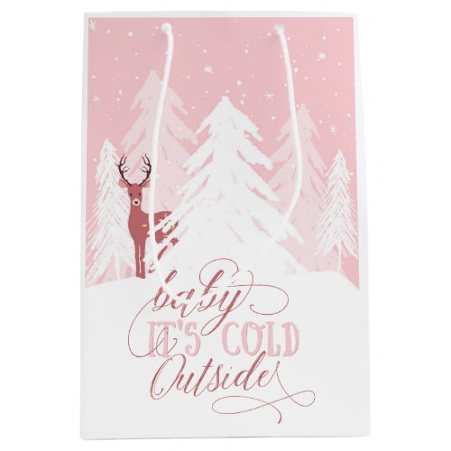 Winter Onederland Baby Its Cold Outside Gift Bag