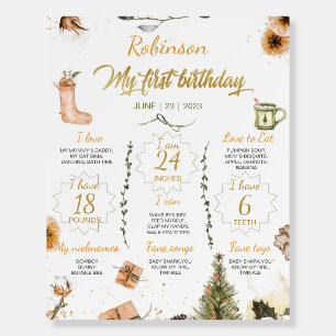 Winter Onederland Birthday Milestones Sign
