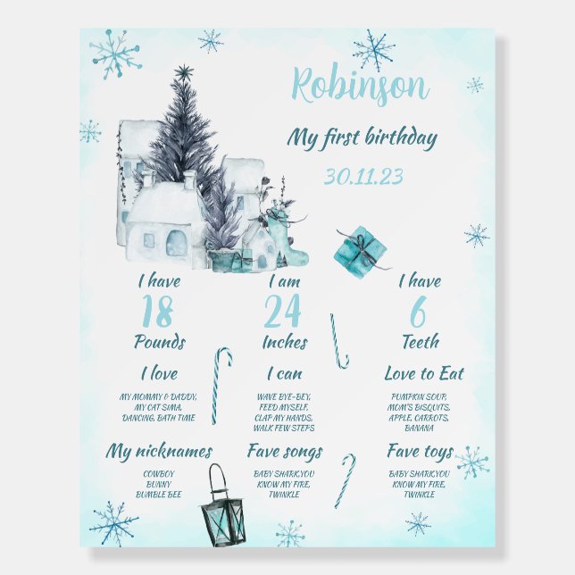 Winter Onederland Birthday Milestones Sign Boy (Front)