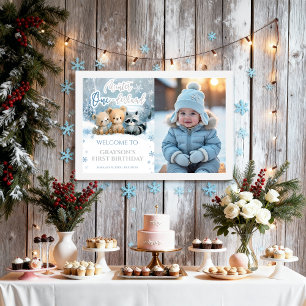 Winter Onederland Blue First Photo Welcome Sign