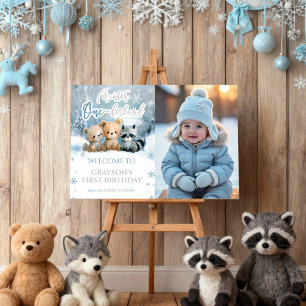 Winter Onederland Blue First Photo Welcome Sign