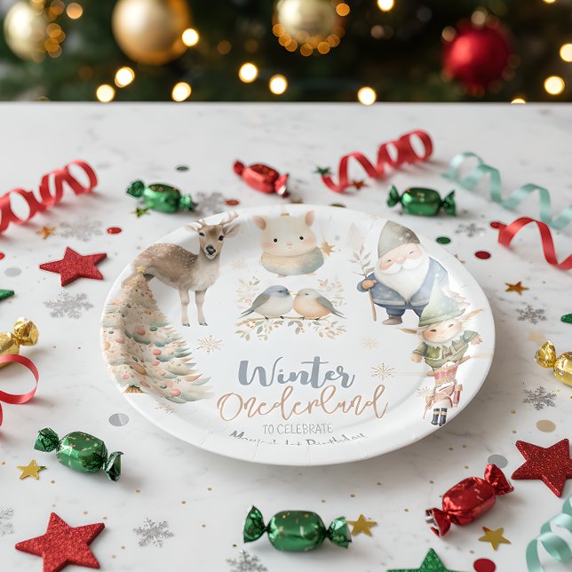 Winter onederland christmas birthday paper plates (Creator Uploaded)