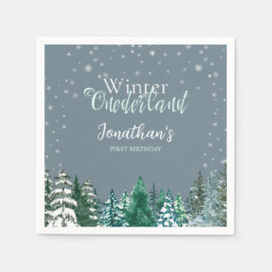 Winter Onederland First Birthday snowy landscape Napkins