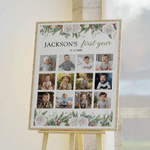 Winter Onederland First Year Photo Milestone Sign