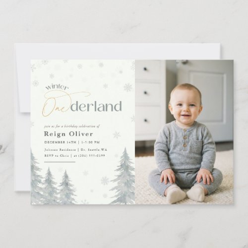 Winter Onederland Kid Photo First Birthday Party