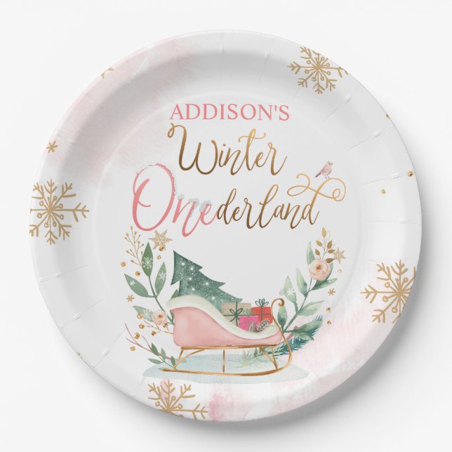 Winter Onederland Party Girl Pink Snow Birthday  Paper Plates (Front)
