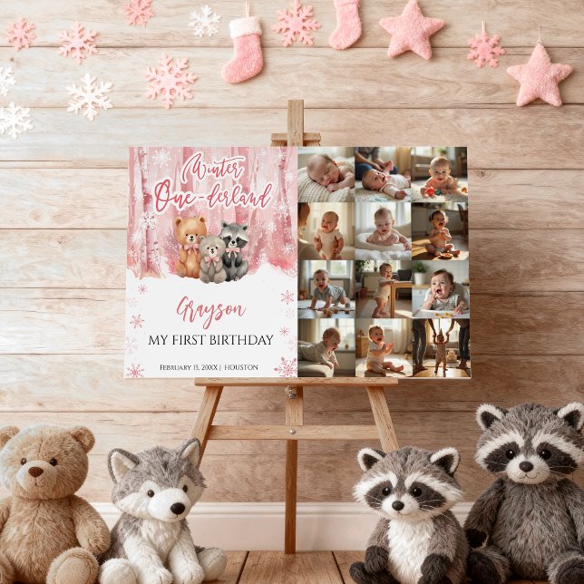 Winter Onederland Pink My First Year Photo Sign (Creator Uploaded)