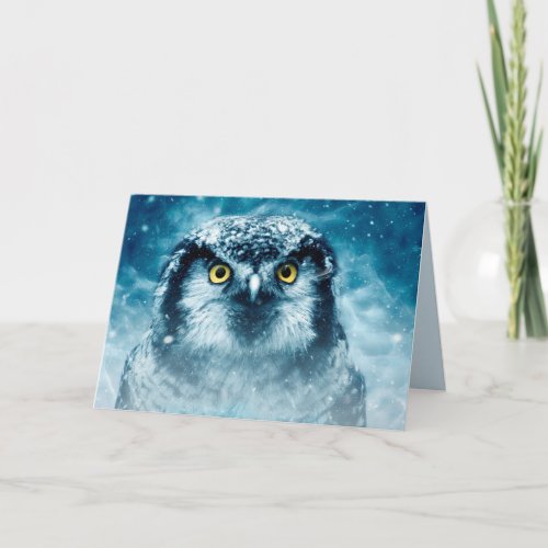 winter owl greeting card