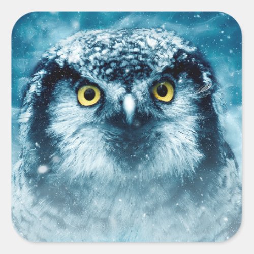 winter owl stickers