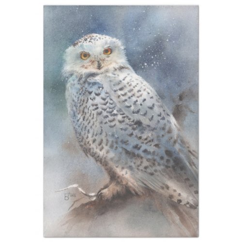 Winter Owl Tissue Paper