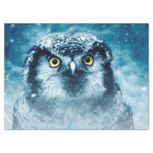 winter owl tissue paper