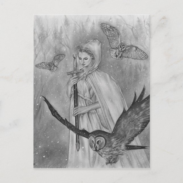 Winter owls  Lady Postcard Card (Front)