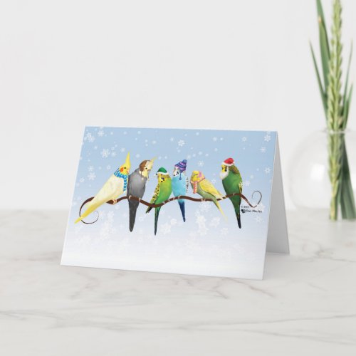 Winter Parakeets  Cockatiels Holiday Card