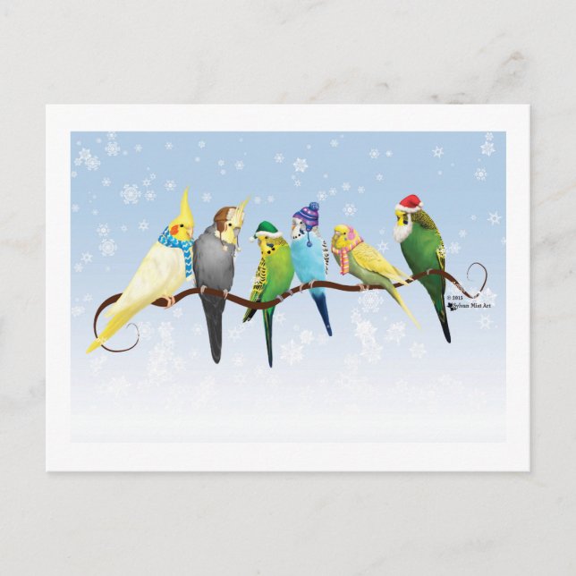 Winter Parakeets & Cockatiels Postcard (Front)
