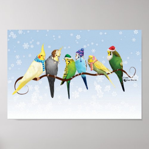 Winter Parakeets  Cockatiels Poster