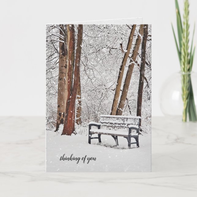 winter park bench in snowflakes card (Front)
