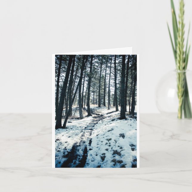 Winter Path Christmas card (Front)