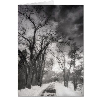 Winter Pathways Cards