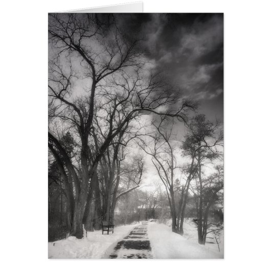 Winter Pathways Cards (Front)