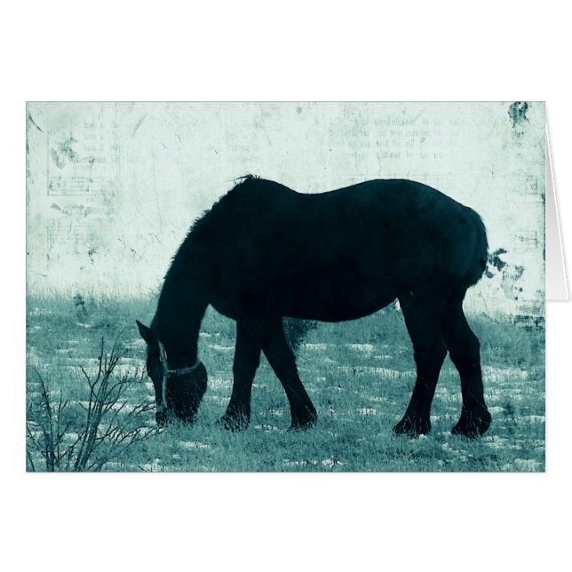 Winter Percheron Cards (Front Horizontal)