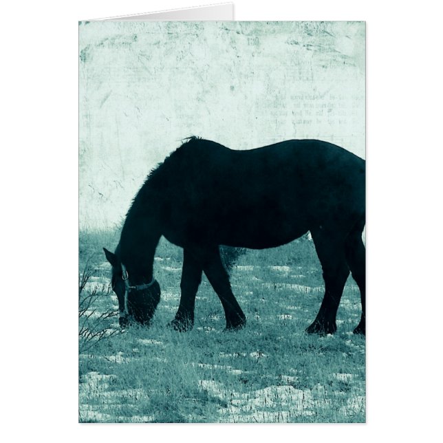 Winter Percheron Cards (Front)