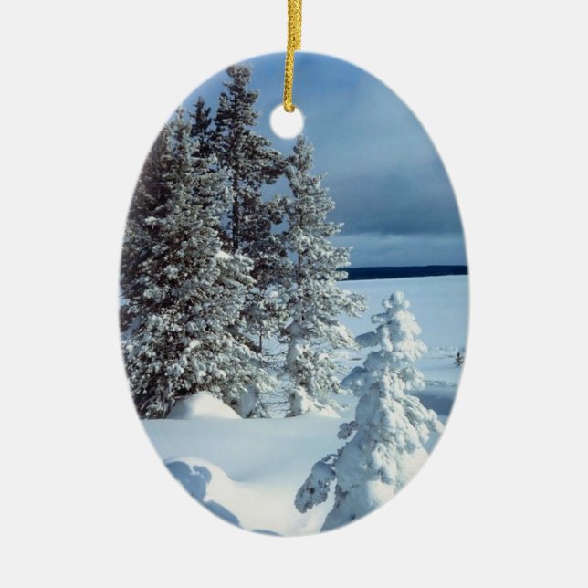 Winter Photo Template Christmas Ornament (Front)