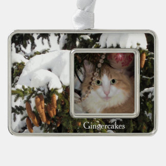 Winter Picture and Custom Photo Christmas Ornament