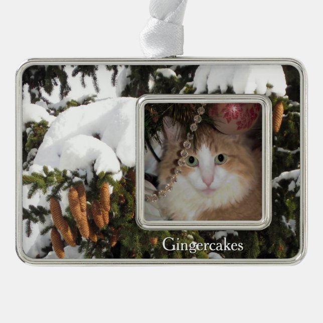 Winter Picture and Custom Photo Christmas Ornament (Front)