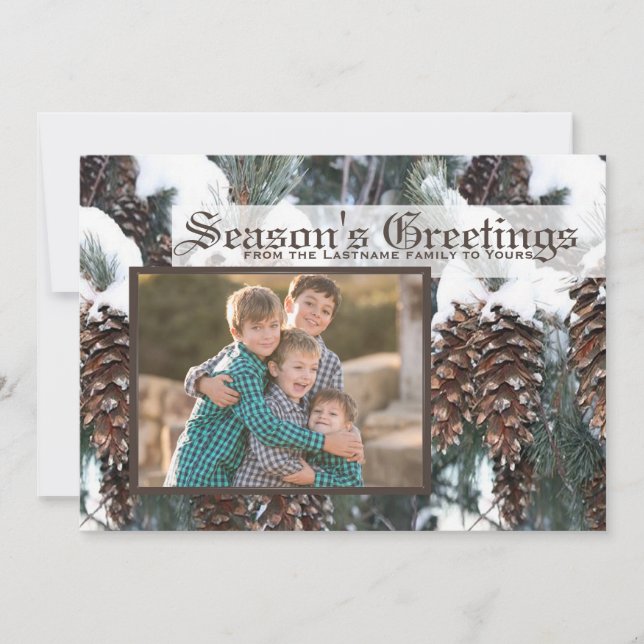 Winter Pine Cones Photo Flat Card (Front)