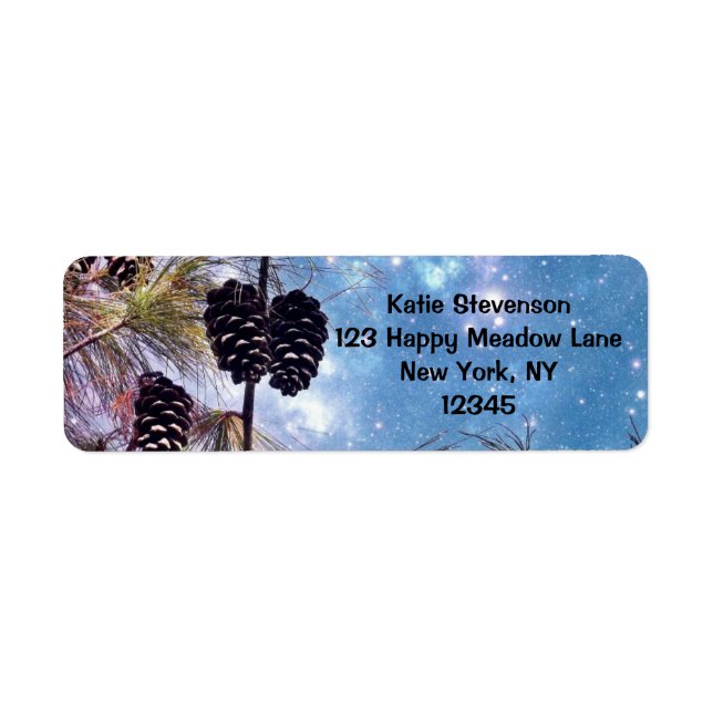 Winter Pine Cones under a starry night sky Label (Front)