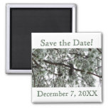 Winter Pine Save the Date Magnet