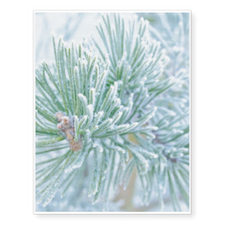 Winter Pine Temporary Tattoos