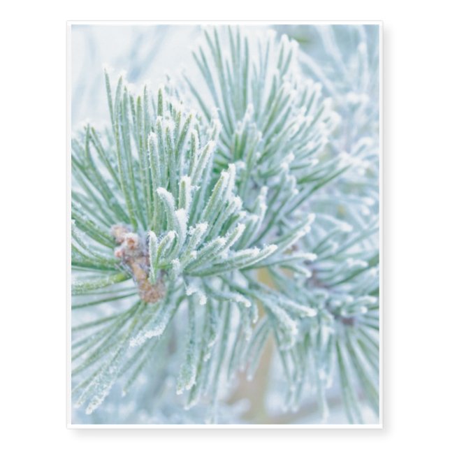 Winter Pine Temporary Tattoos (Front)