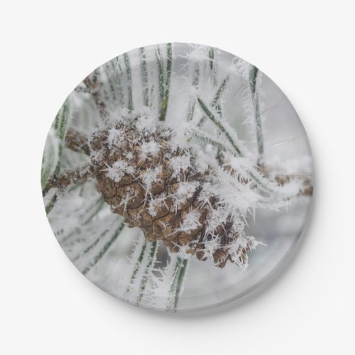 Winter Pinecone Snowflakes Paper Plates