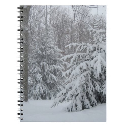 Winter Pines Notebook