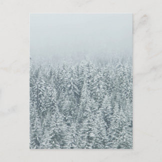 Winter Pines Postcard